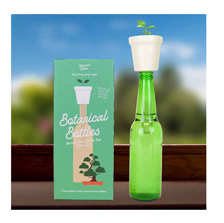 Botanical Bottles Bonsai Tree Bottle Top Grow Kit