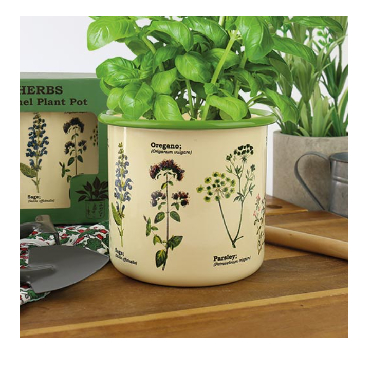 Enamel Plant Pot Herbs