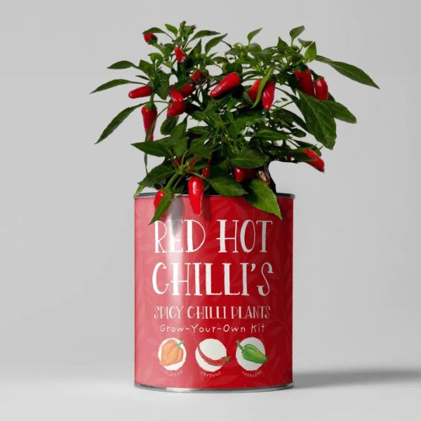Red Hot Chillies Grown Your Own Chilli Plant Kit