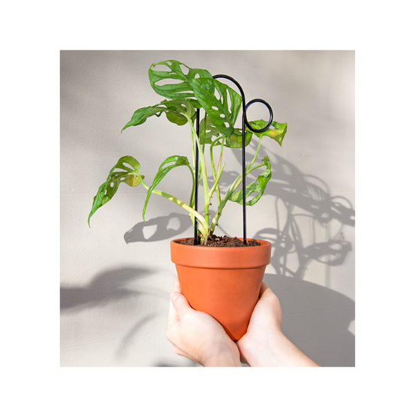 Mini Plant Stake Bump