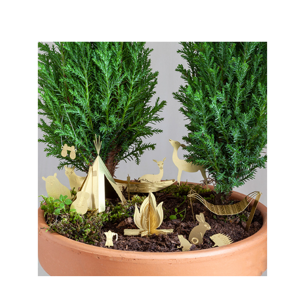 Tiny Camping for Plants