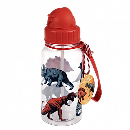 Prehistoric Land Dinosaur Water Bottle
