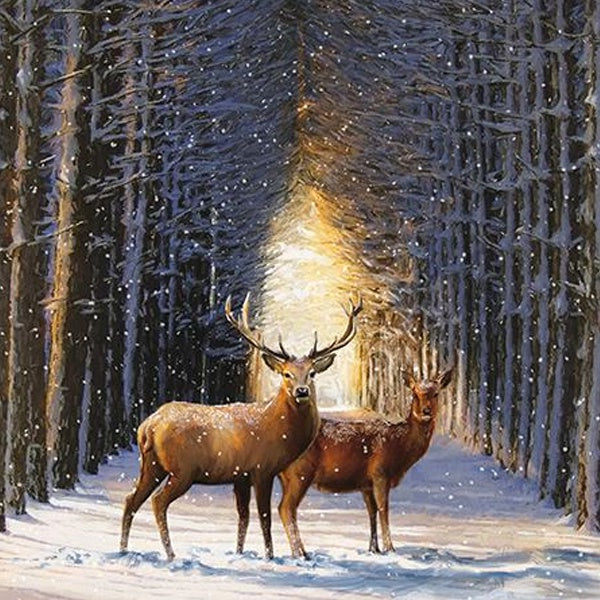 Woodland Avenue Christmas Card