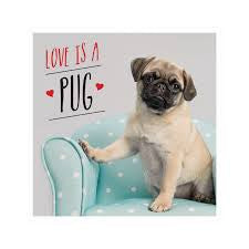 Love Is A Pug