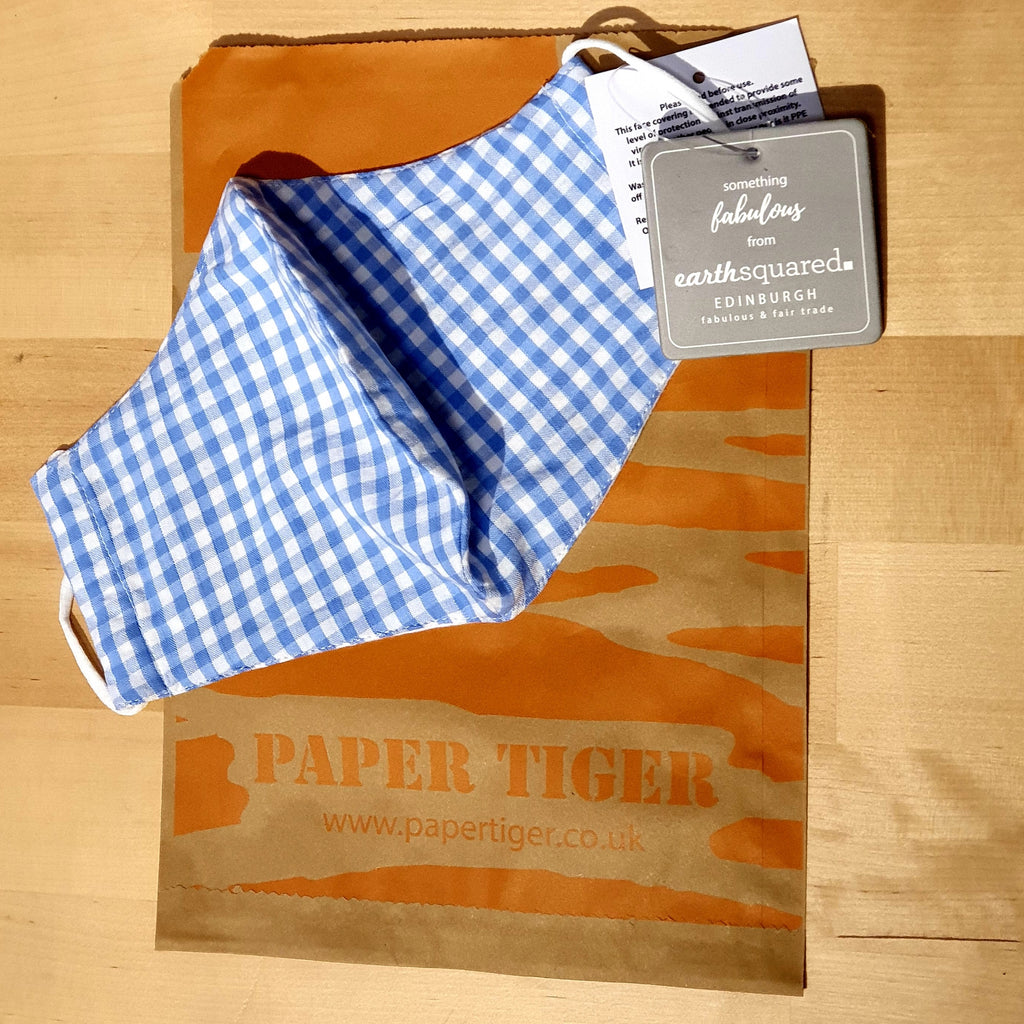 Blue Gingham Face Mask