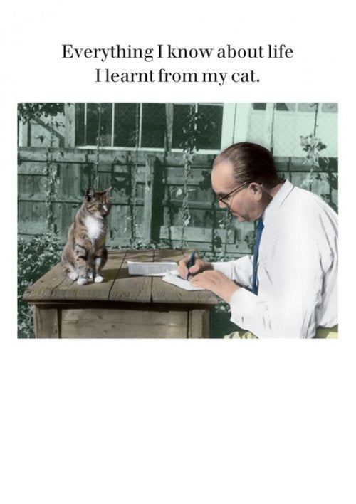 Learnt From My Cat Card