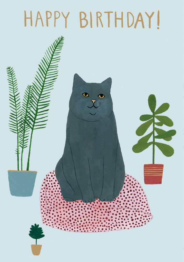 Cats Got the Cream Grey Cat Happy Birthday Card