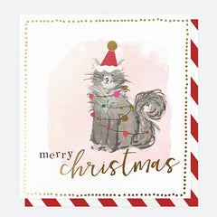 Painted Cat Pack of Eight Christmas Cards