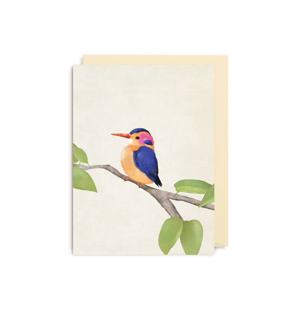 Kingfisher Mini Card