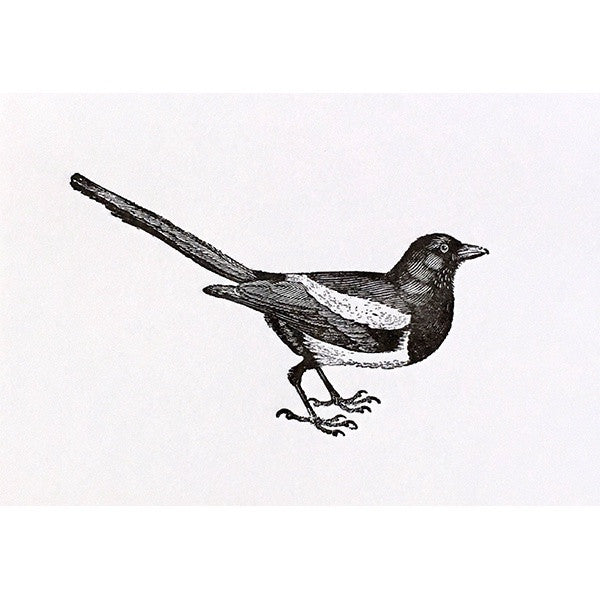 Magpie Card