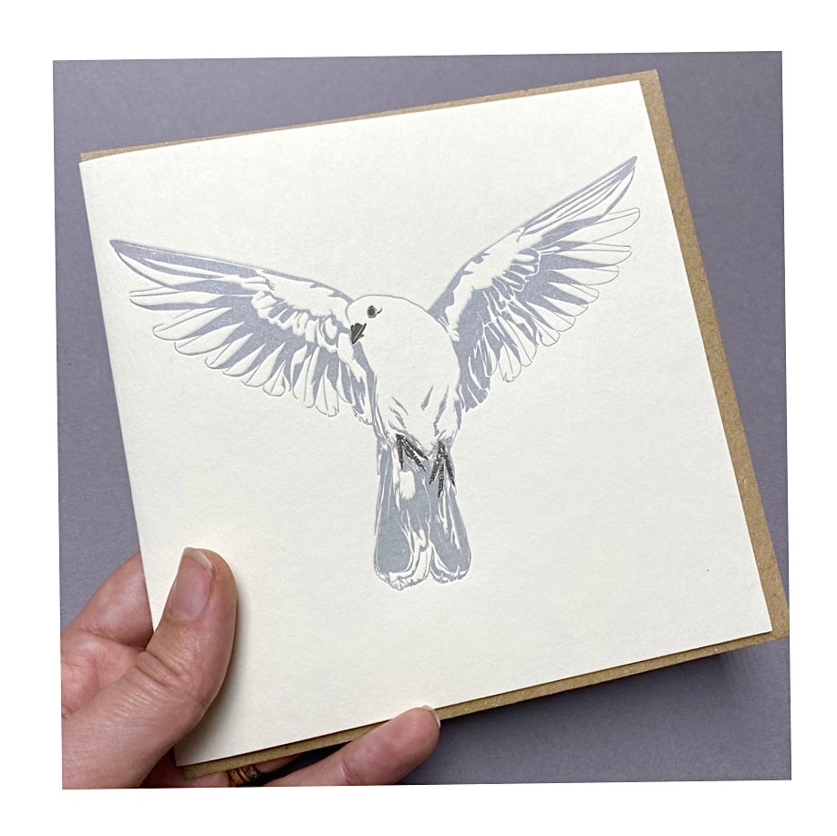 Dove Letterpress Card