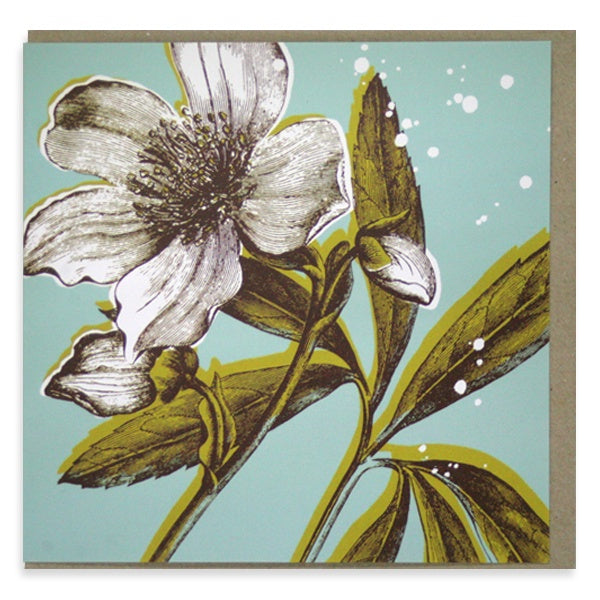 Cream Anemone Card