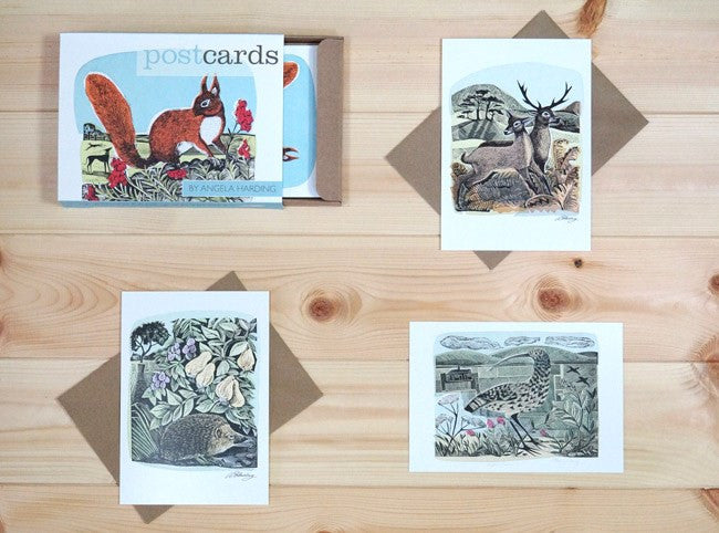 Box of 12 Angela Harding Postcards