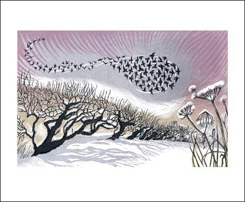 Midwinter Starlings Blank Card