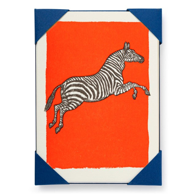 Zebra Pack of 5 Cards