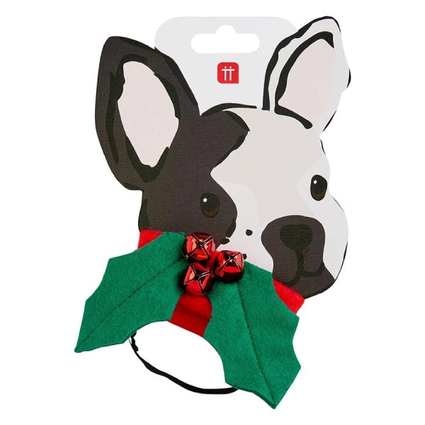 Botanical Christmas Hound Holly Dress Up