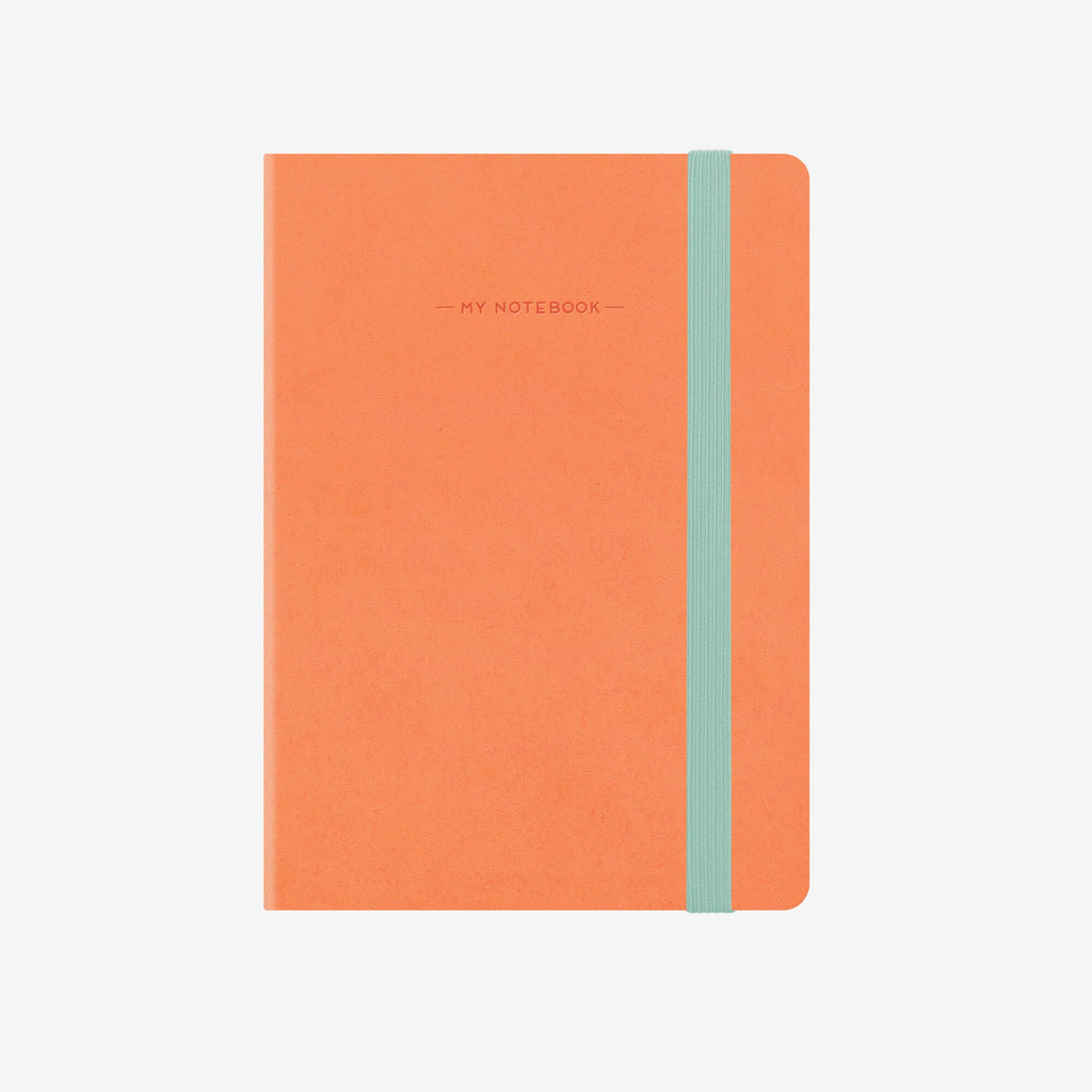Small Plain Salmon Notebook