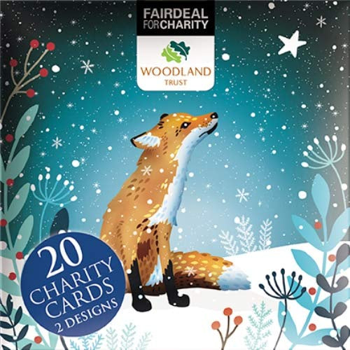 Starlit Fox / Hedgehog Card Box