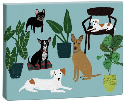 Dog Palais Notecard Box