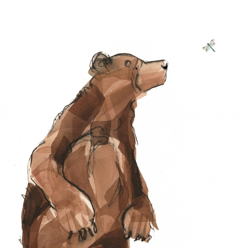 Norris and the Dragonfly Card by Catherine Rayner