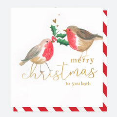 To You Both Robins Christmas Card