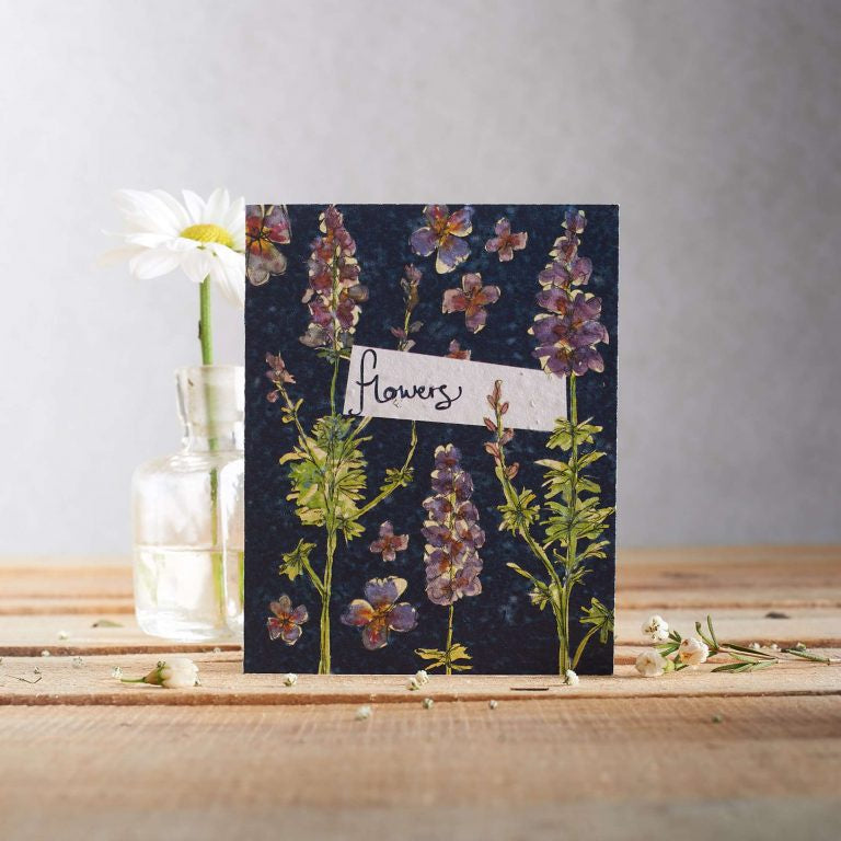 Delphiniums Seed Card