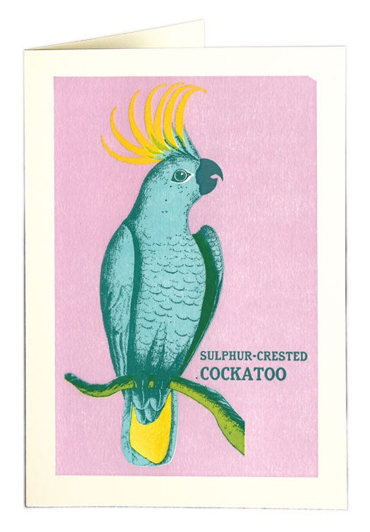 Sulphur-Crested Cockatoo Card