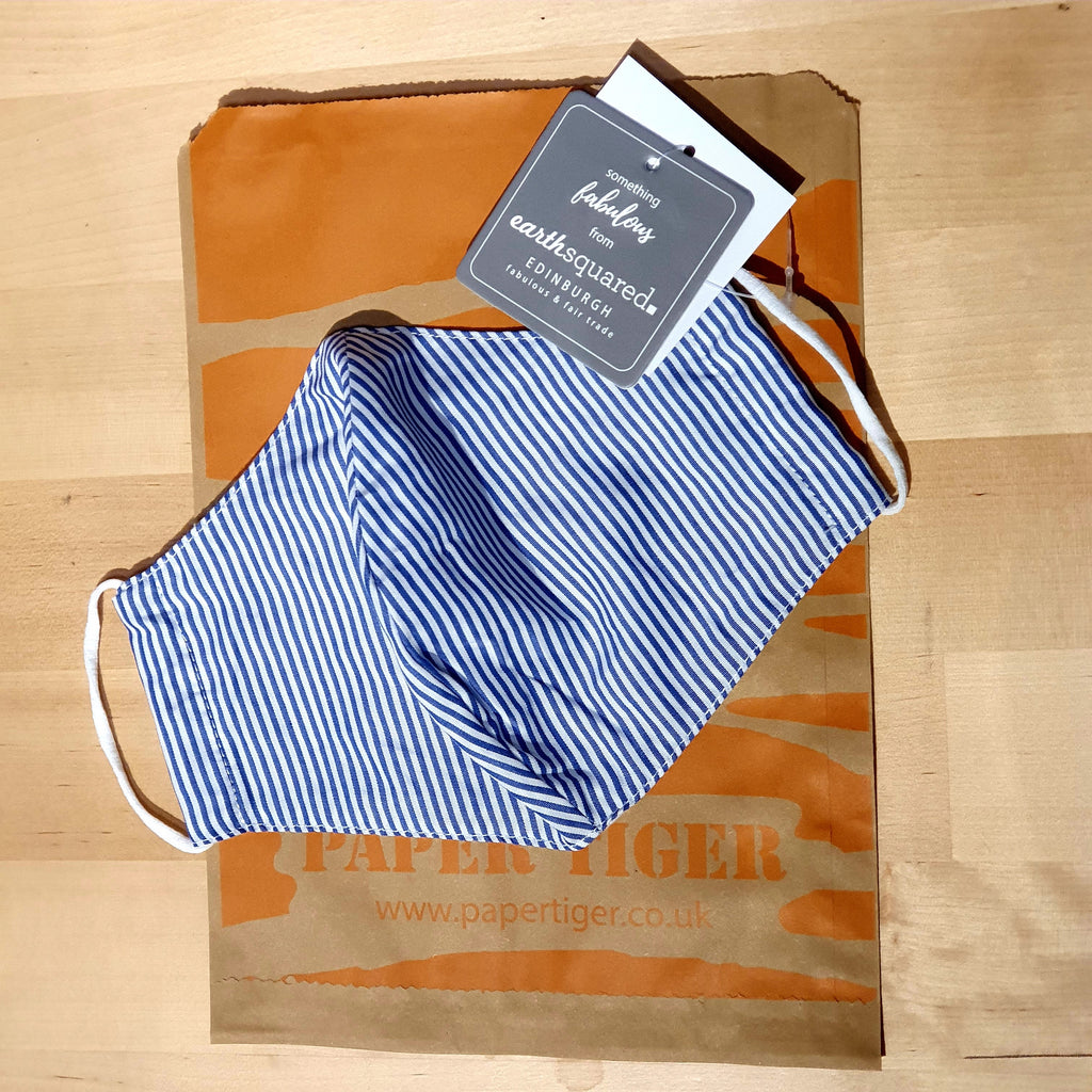 Pale Blue Stripe Face Mask