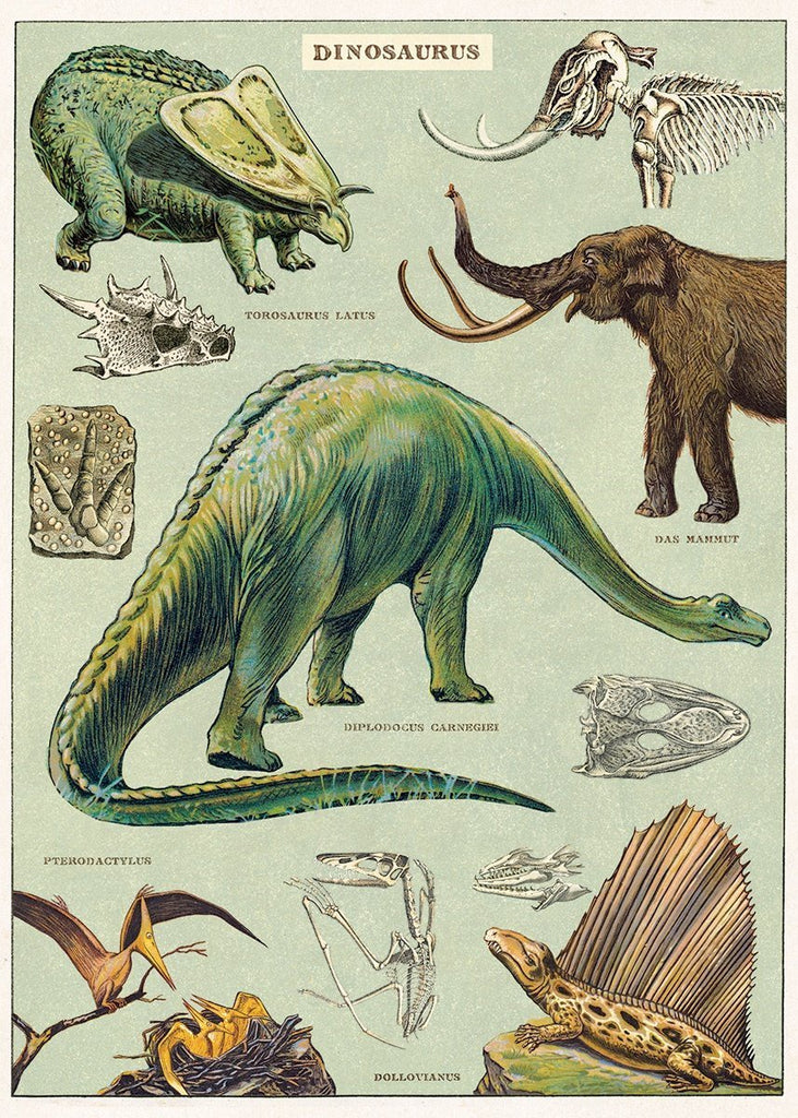 Dinosaurus Sheet Wrap