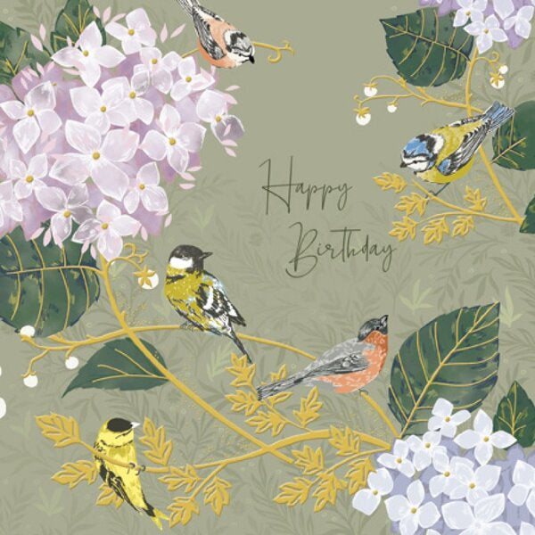 Garden Birds National Trust Birthday Card