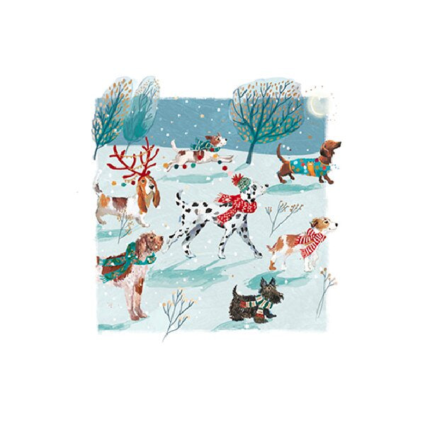 Pawfect Christmas Box of Cards Paper Tiger