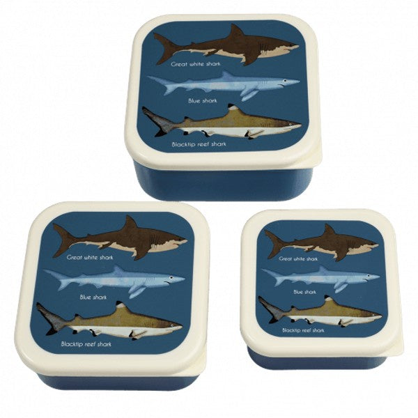 Sharks Snack Boxes
