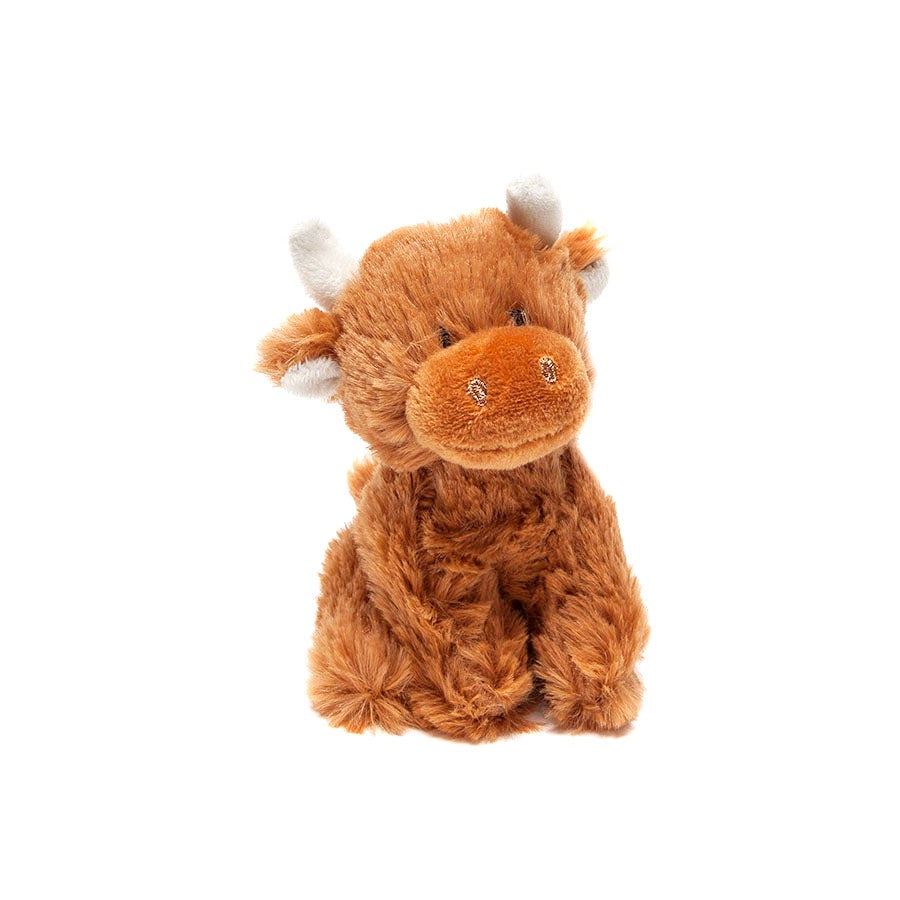 Small Highland Coo