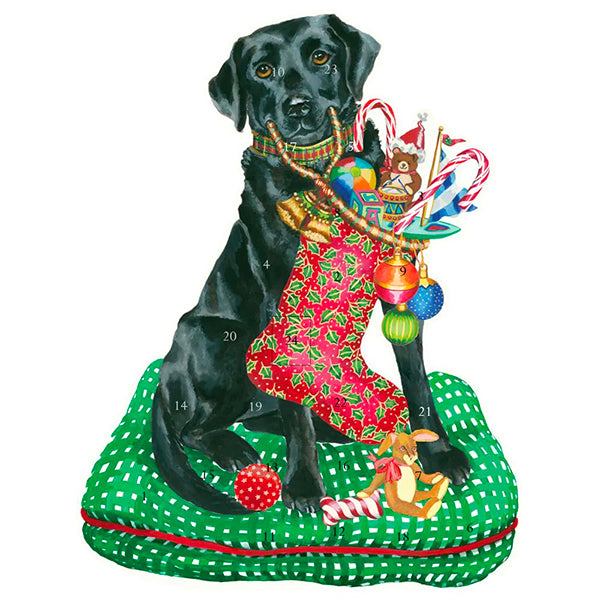 Picture advent calendar