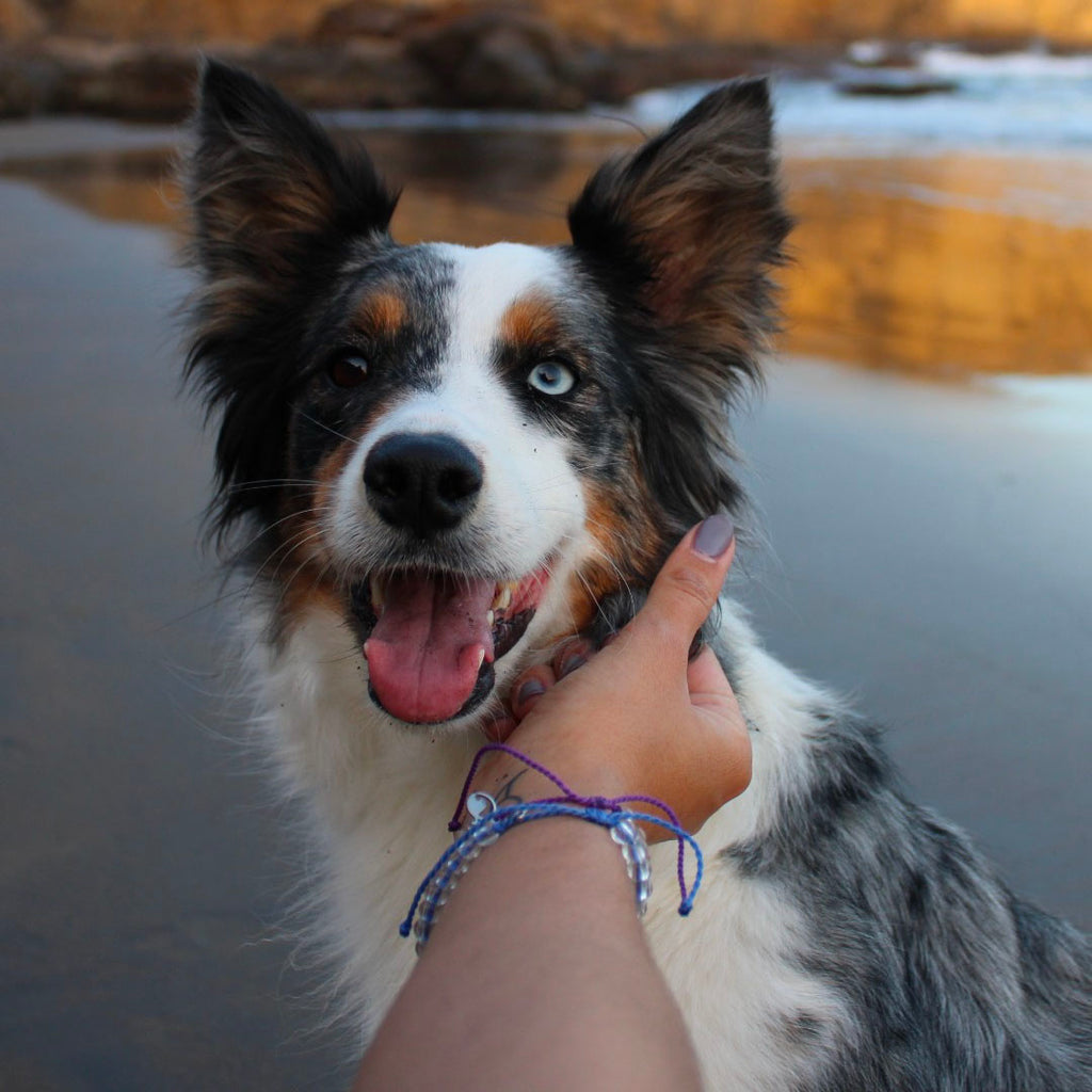 4Ocean Bracelets