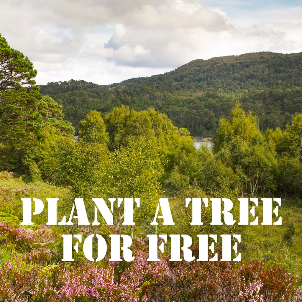 PLANT A TREE FOR FREE