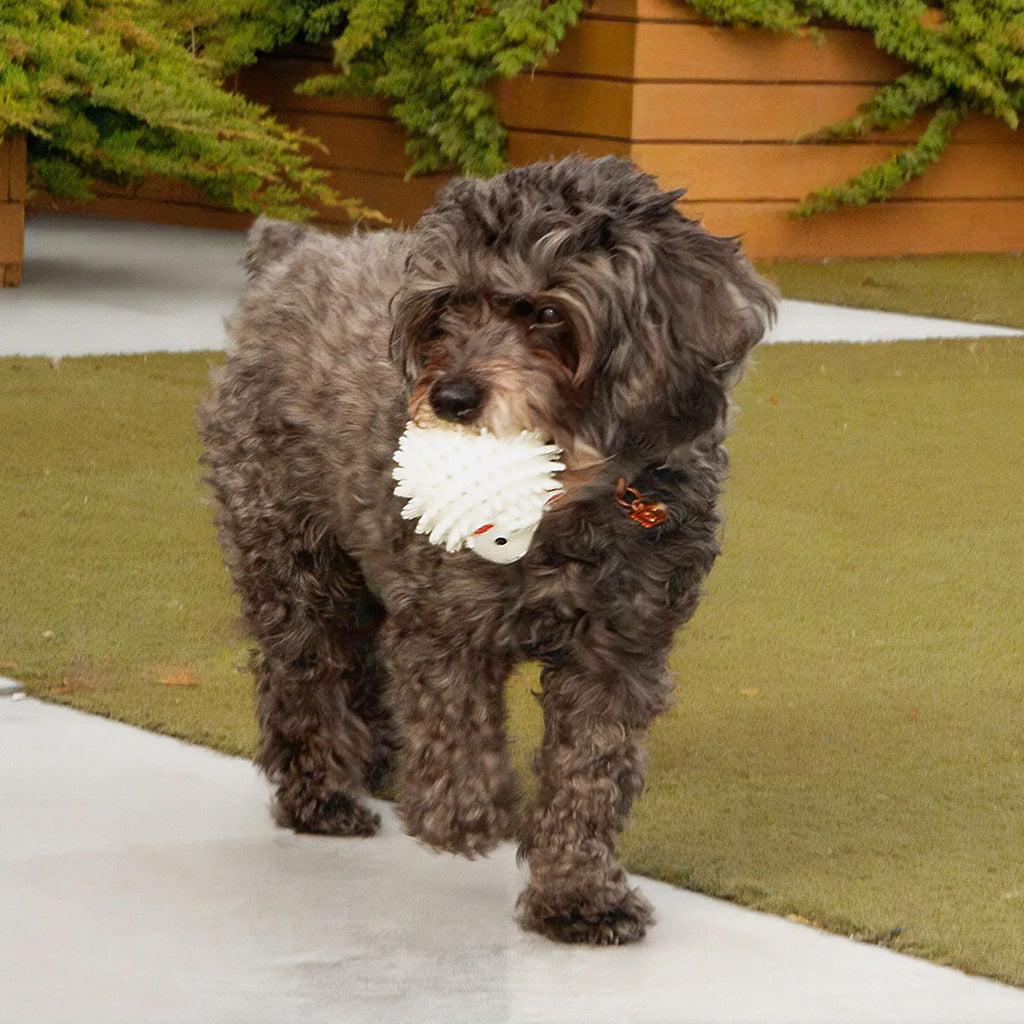 Celebrate International Dog Day with Paper Tiger