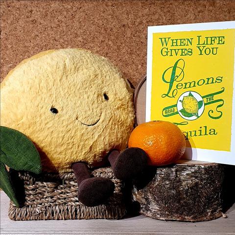 WHEN LIFE GIVES YOU LEMONS...