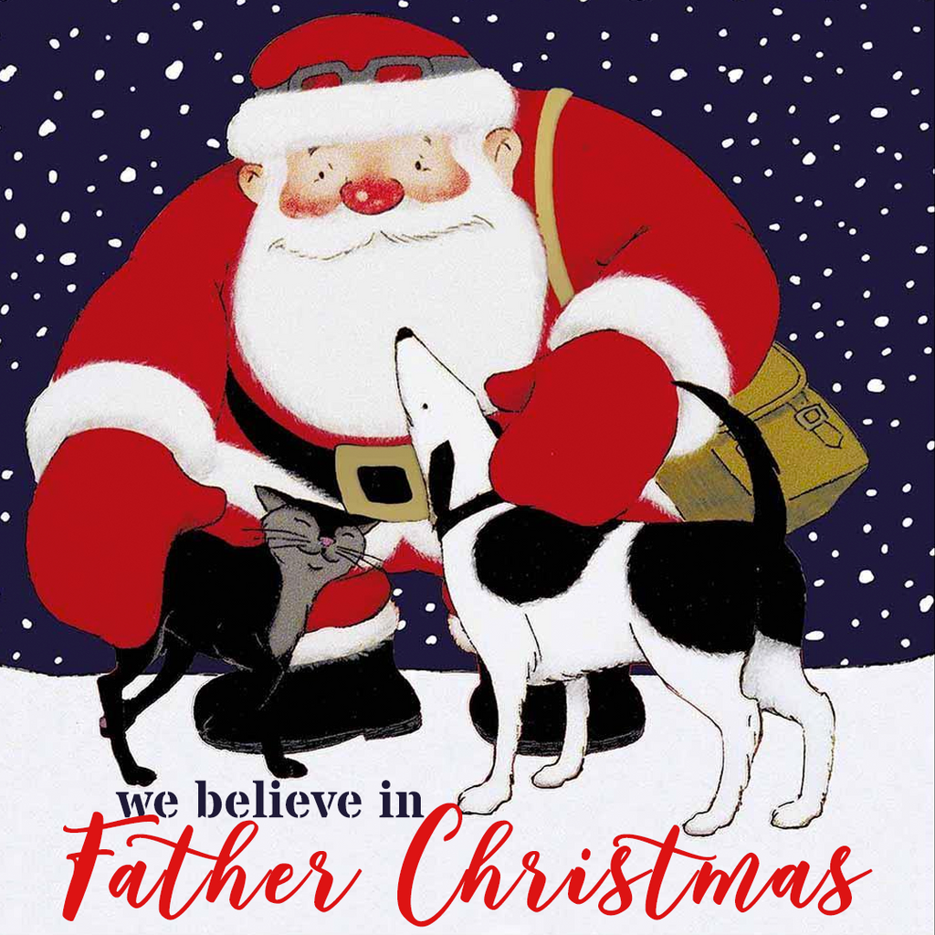 We Believe In Father Christmas!