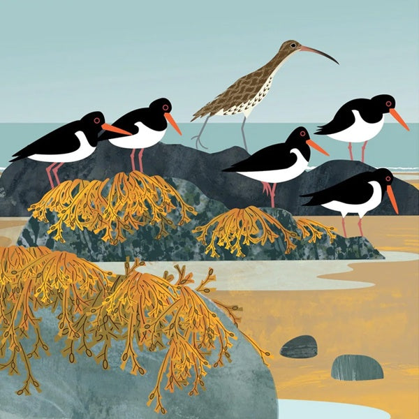 Curlew and Oystercatchers Card