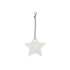 Ice Star City Small