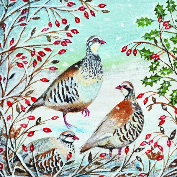 Partridges in the Snow Charity Card Pack