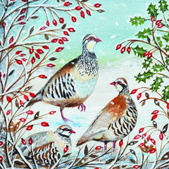 Partridges in the Snow Charity Card Pack
