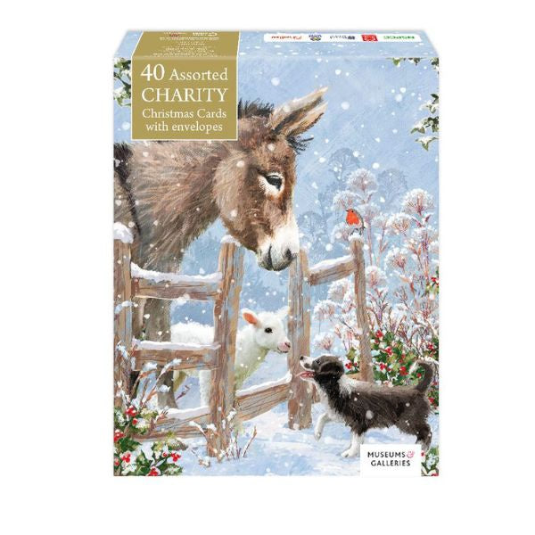Mixed 40 Charity Card Box