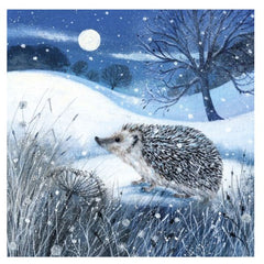 Hedgehog And Moon Charity Card Pack