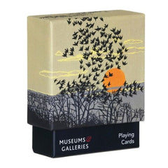 Aerial Manoeuvres Playing Cards