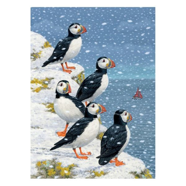 Puffins In The Snow Card Pack