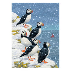 Puffins In The Snow Card Pack