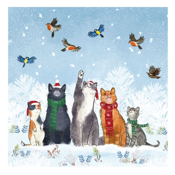 Festive Cats Charity Card Pack
