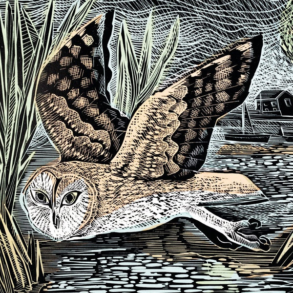 Angela Harding Marsh Owl Card